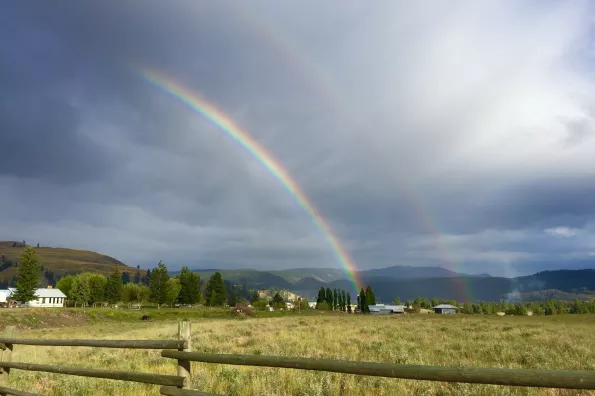 a rainbow over a field 