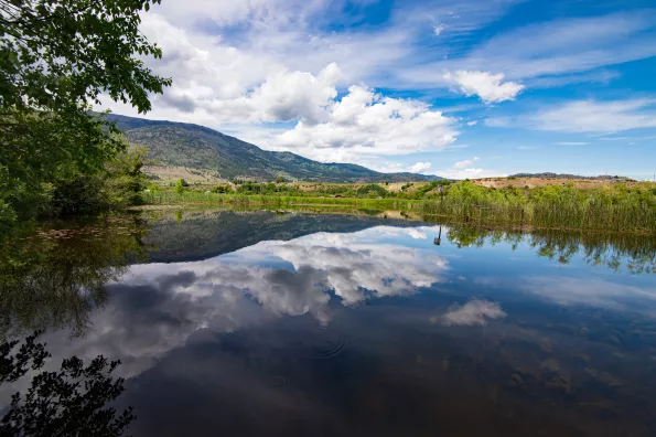 A scenic view of a lake near Oliver, BC. 