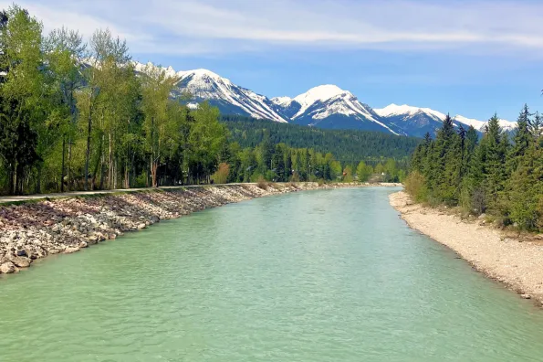 a view of a river with trees on either side and snow-capped mountains in the distance